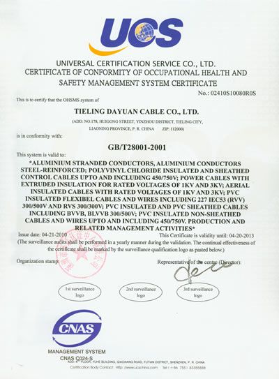 職業(yè)健康安全管理體系認(rèn)證證書(shū)（英文）