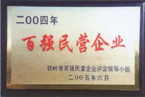 百強(qiáng)民營企業(yè)